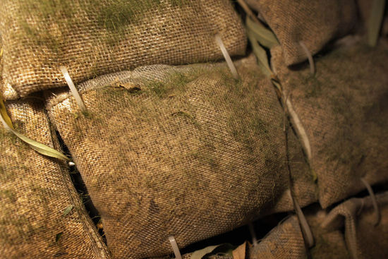 �����Ͼ�